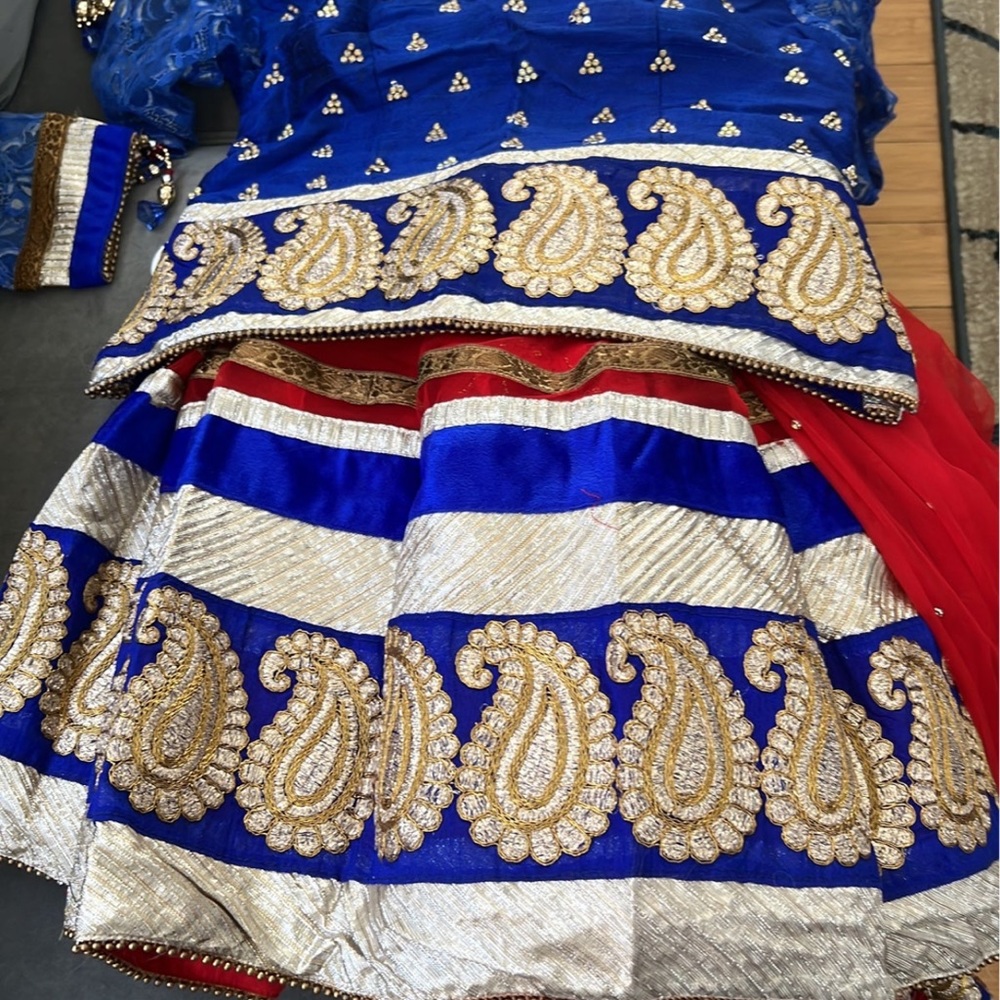Lehenga - image 6